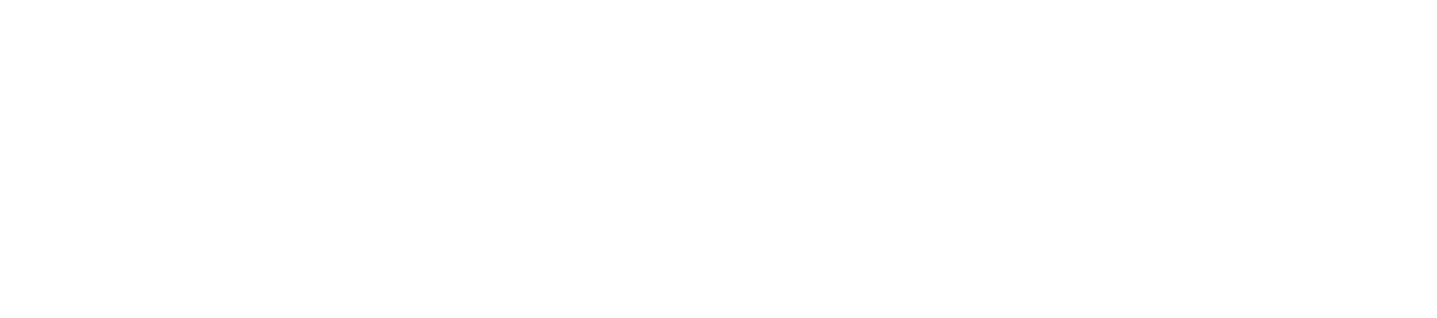Sydskiffer Logotyp Vit